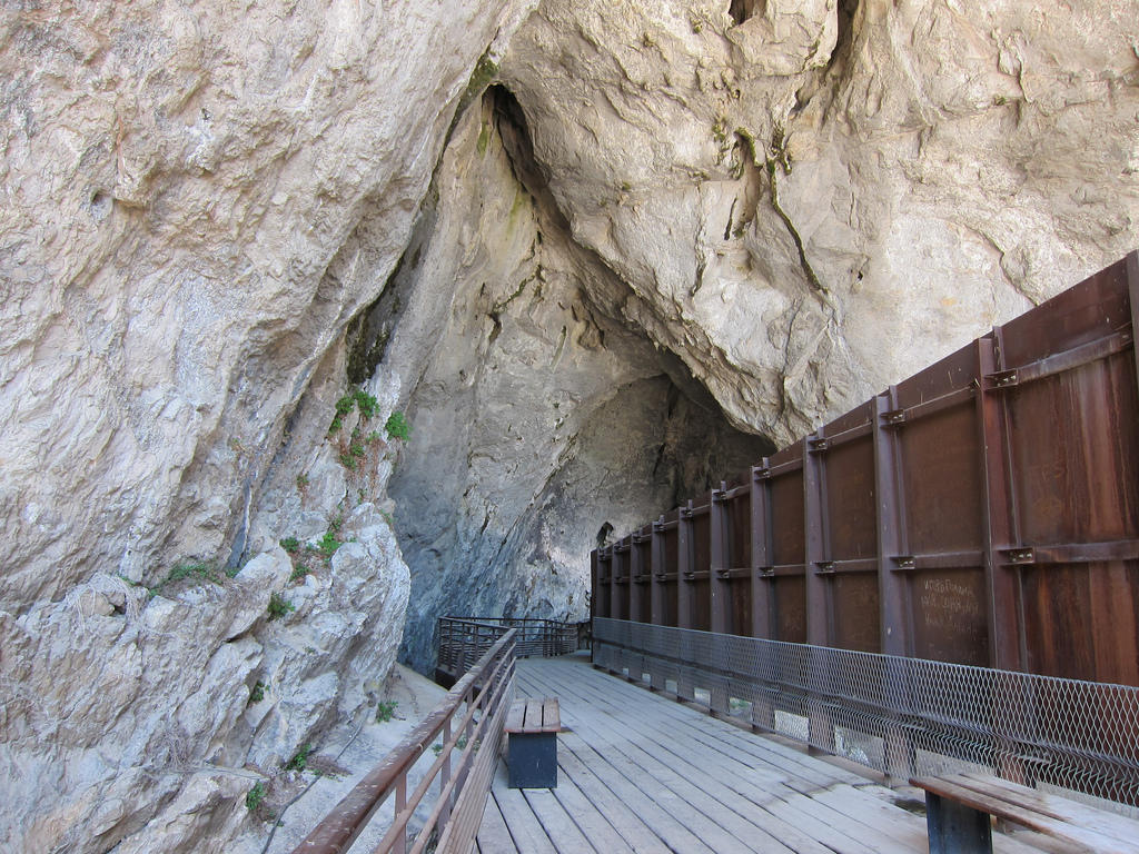5) Grotte de Niaux