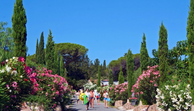 Zoom sur… Le camping « Domaine du Colombier »