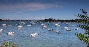 Séjour dans le Golfe du Morbihan