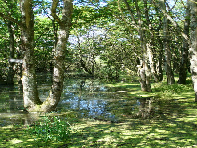 Lac du Der Chantecoq